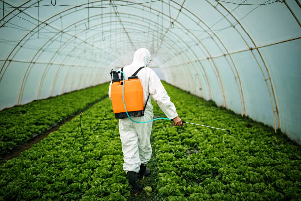 Best Pest Removal Services  in Biglerville, PA